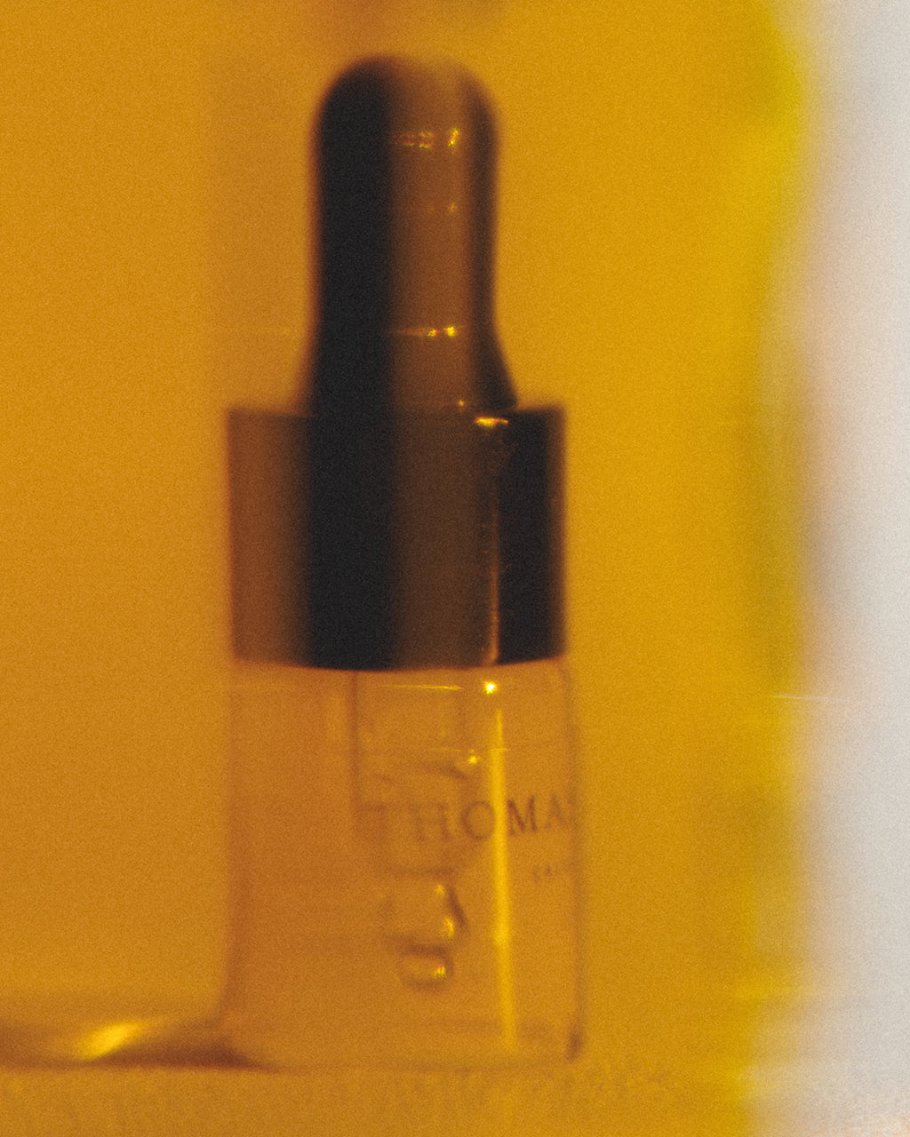 THE FACIAL OIL SAMPLE